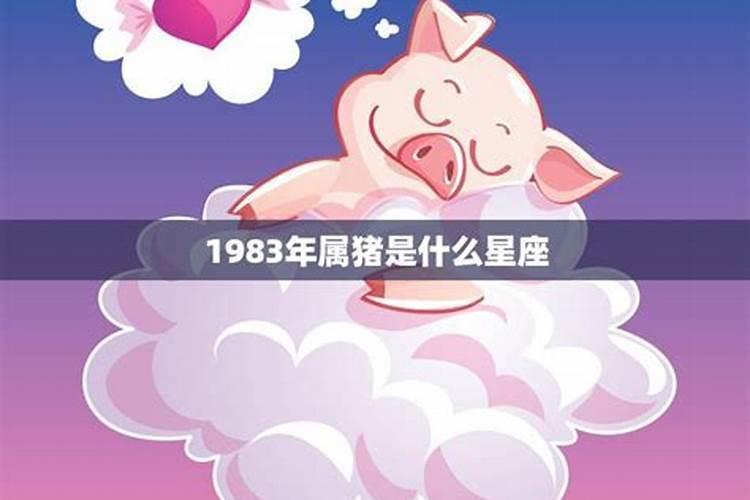 1983年属猪是什么