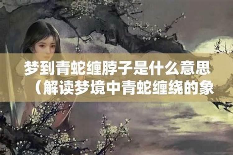 梦到青蛇一直跟着自己（梦到青蛇是什么意思被打死）