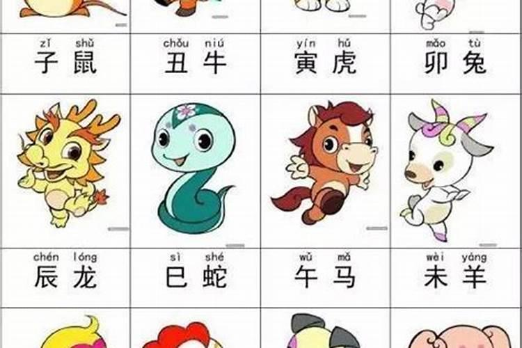 海字五行属什么