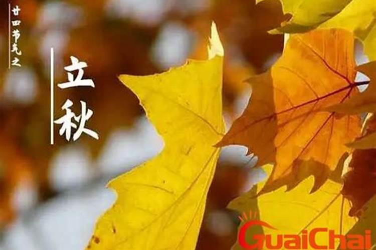 今年立秋什么时候几点