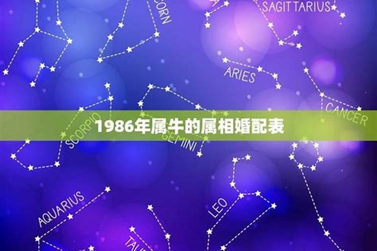 1986年2月2日属牛还是虎？农历2月什么生肖