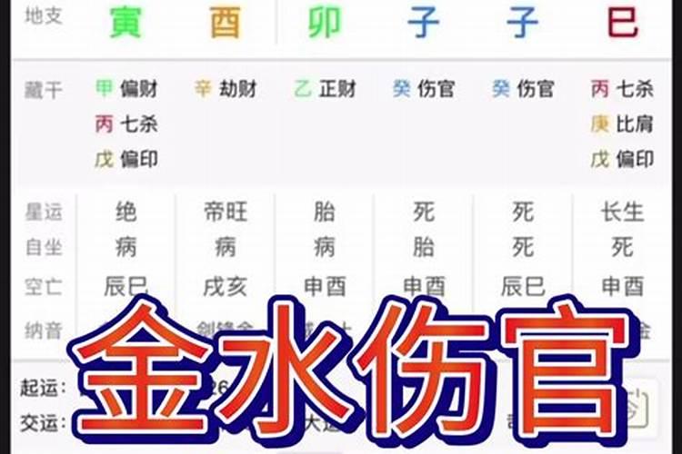 金水伤官八字无木