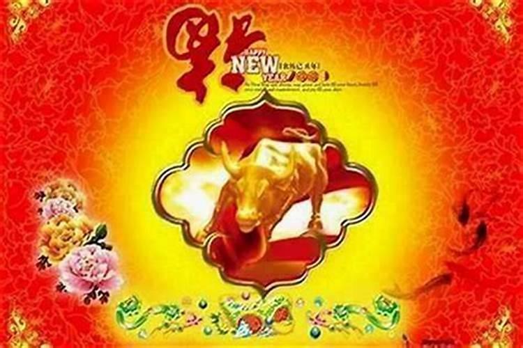 属羊的新年