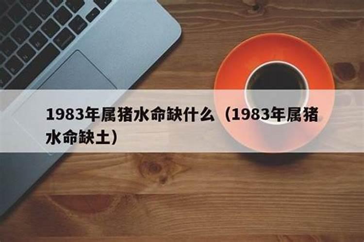 1983年属猪人是什么命缺什么