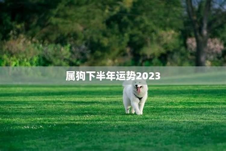 阴历四月兔2023年运势