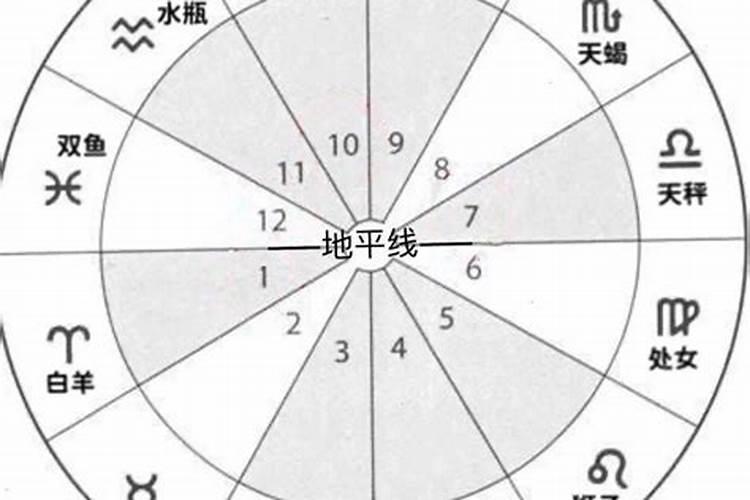 12宫代表含义(命宫是什么位置)