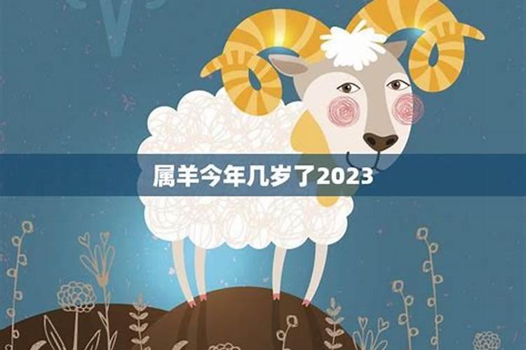 属羊的今年几岁了2021