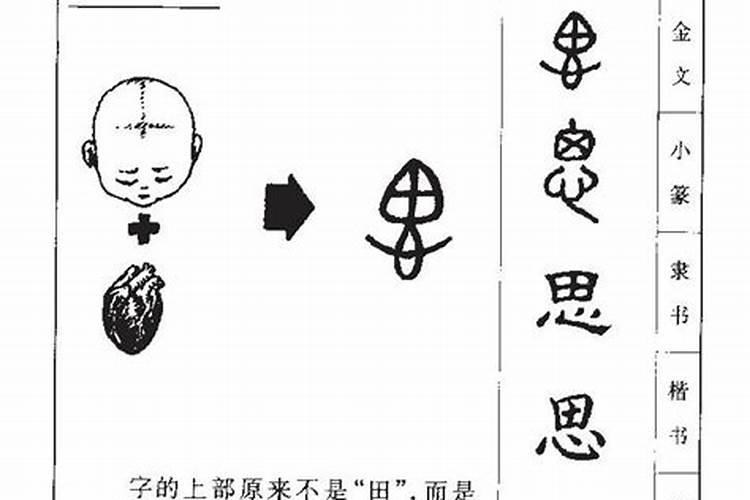 思字五行属什么的字