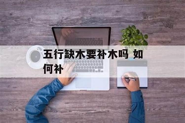 五行缺木房间要怎么布置才好