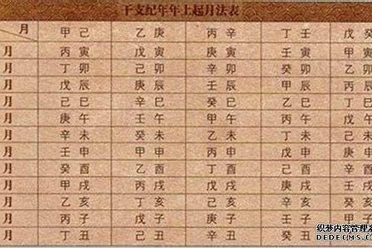 属兔今年八字运程