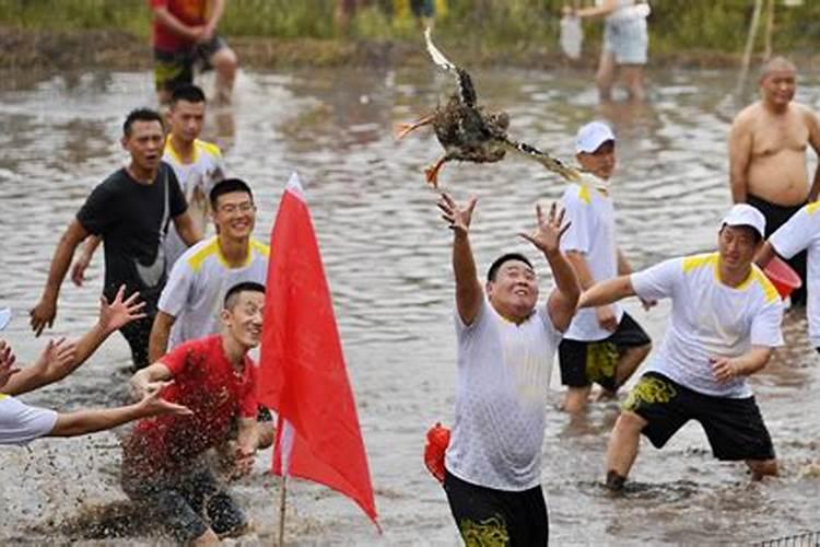 凤凰端午节抢鸭子是几点