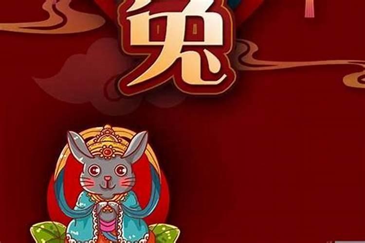 属兔的今年运势12月运势