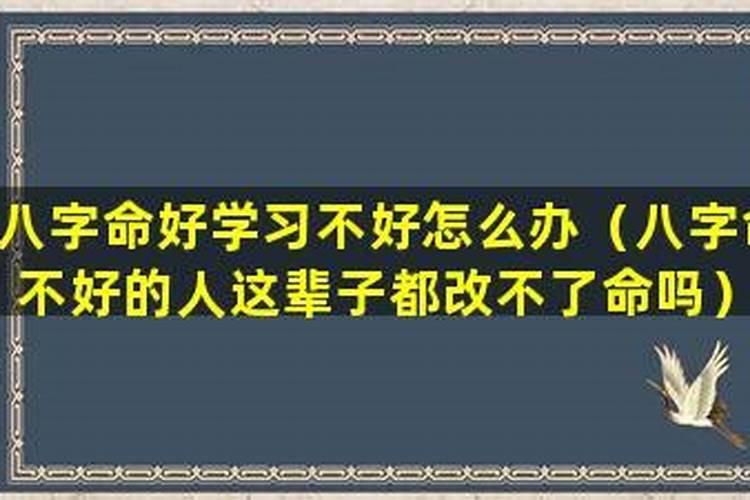 大运正印代表什么意思