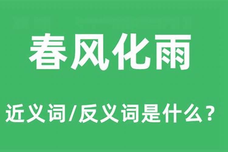 牛毛细雨是什么生肖？？挥泪如雨代表什么生肖