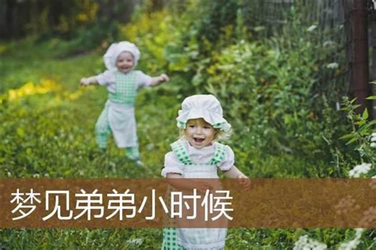 梦见弟弟的小孩是什么意思