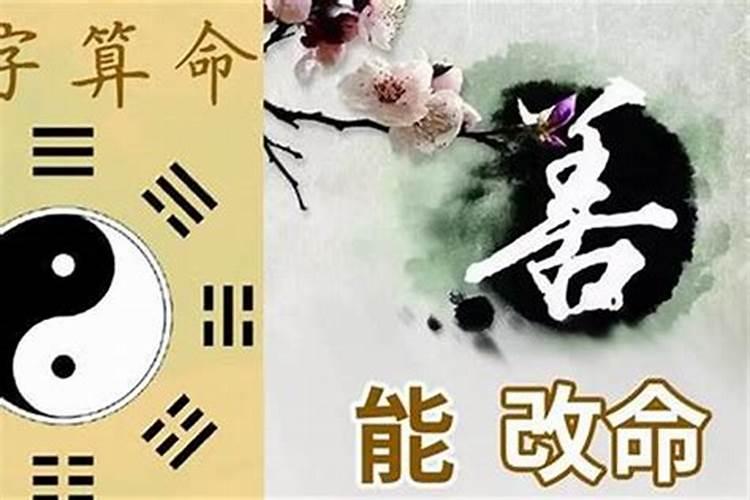 自己努力会很厉害的八字