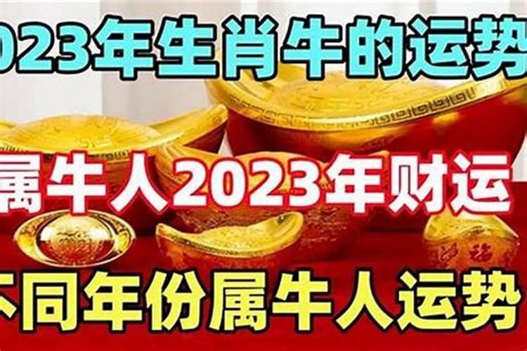 2024年下半年生肖牛运势