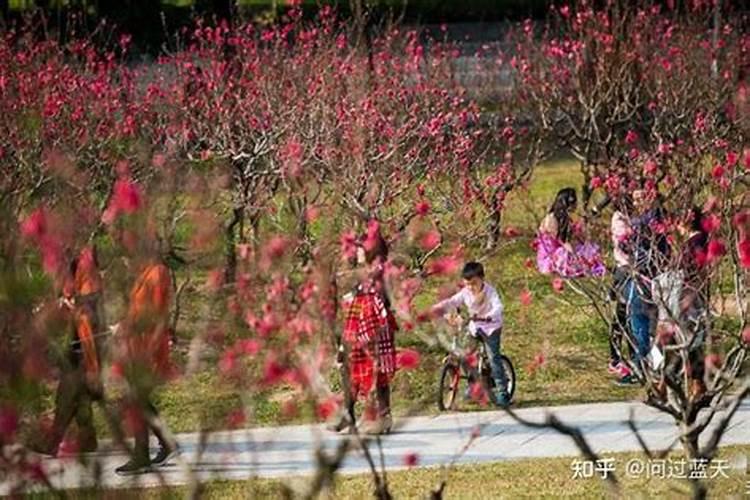 桃花劫煞可以化解么