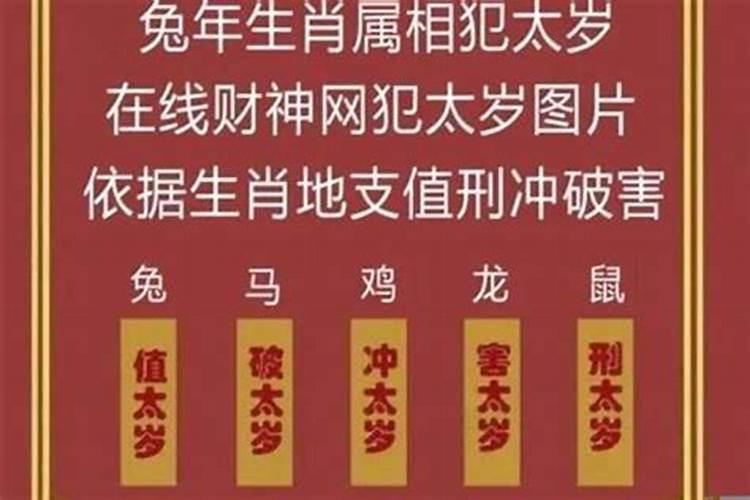 鼠今年犯太岁吗2021年