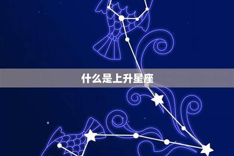 双鱼座附属星座是什么