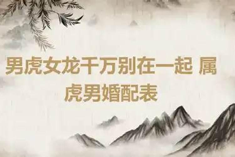 属虎喜欢什么性格的人