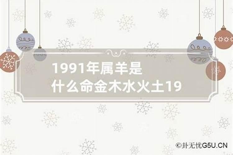 91年属羊什么命