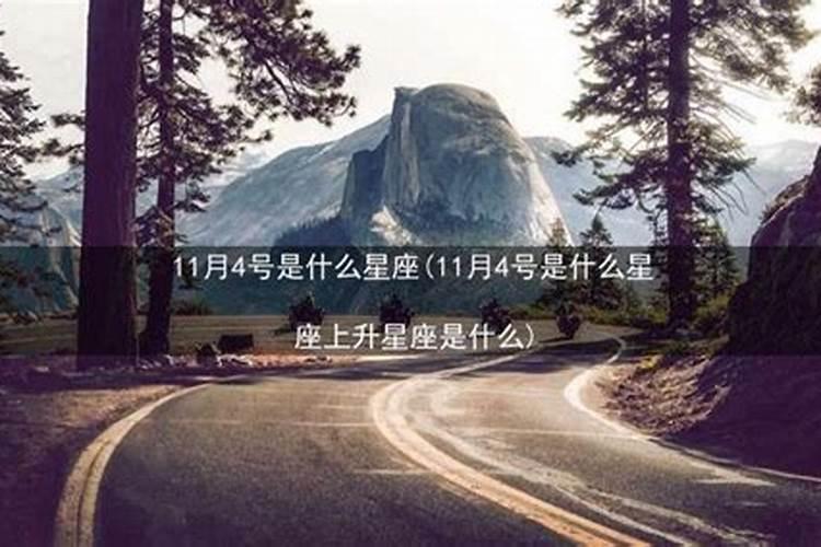 11月4号是什么星座阳历