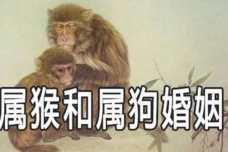 属猴之人剑锋金命解释