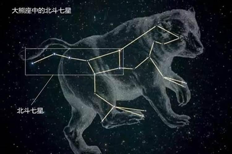 北斗七星属于哪个星座的生肖