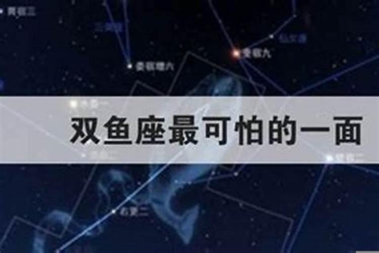 双鱼是属什么的