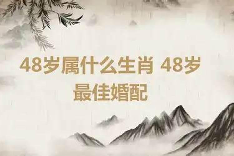 今年48岁属什么生肖2021