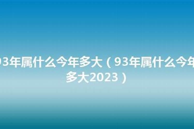 93年多大属什么的