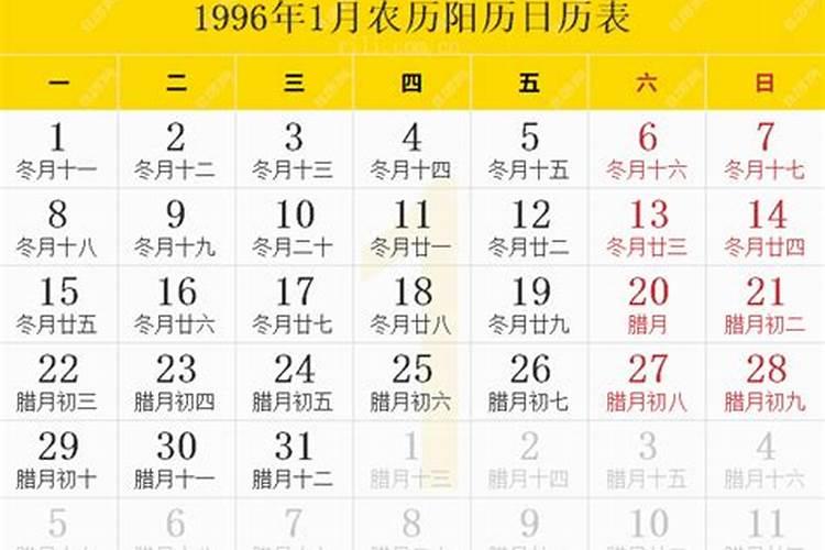 1996年1月属什么星座