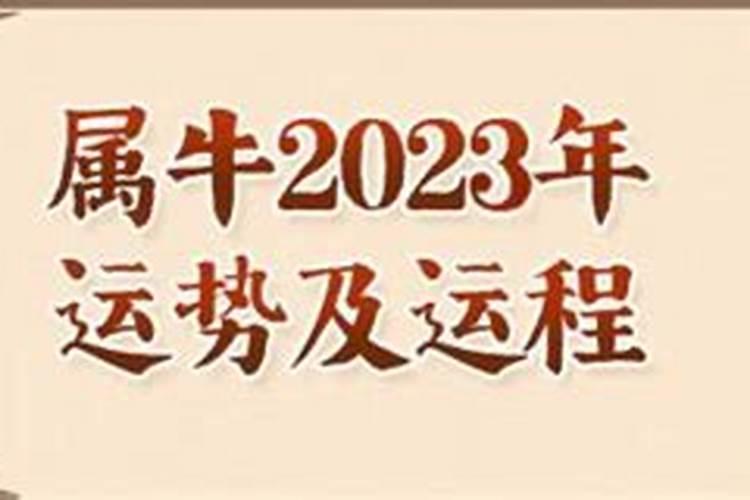 九七年属牛2023年运程如何