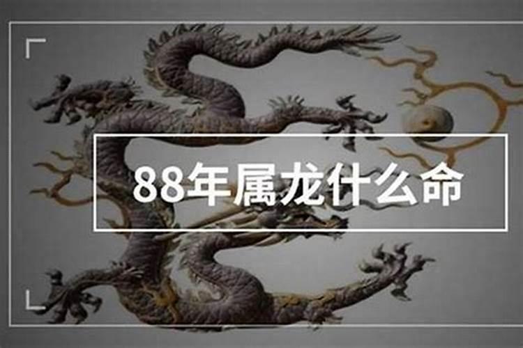 1988年属龙的到底是什么命