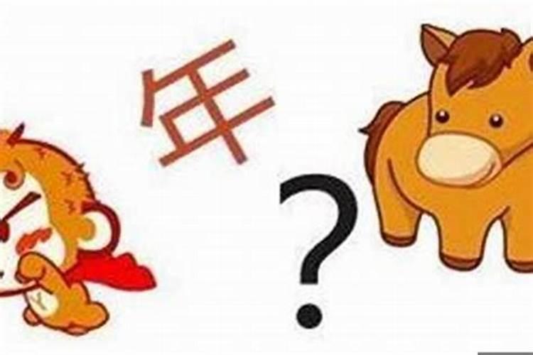 猴年马月的生肖是什么？