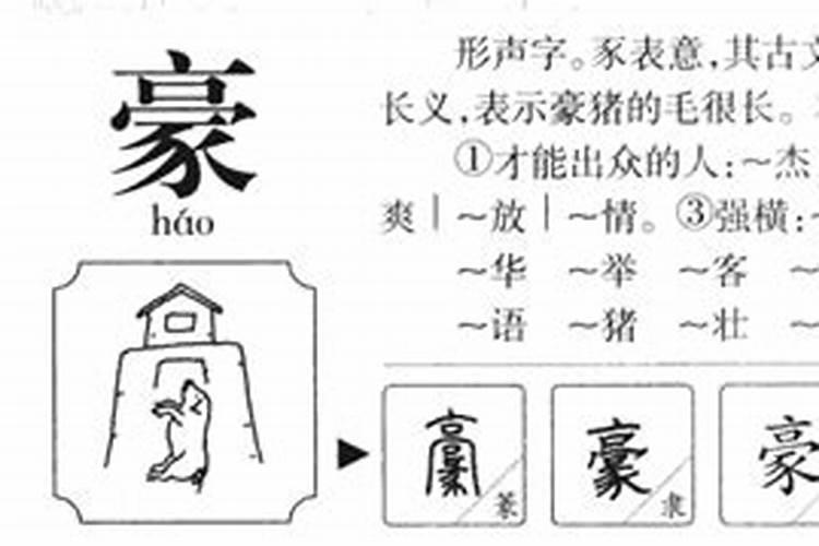 豪字五行属什么,有什么