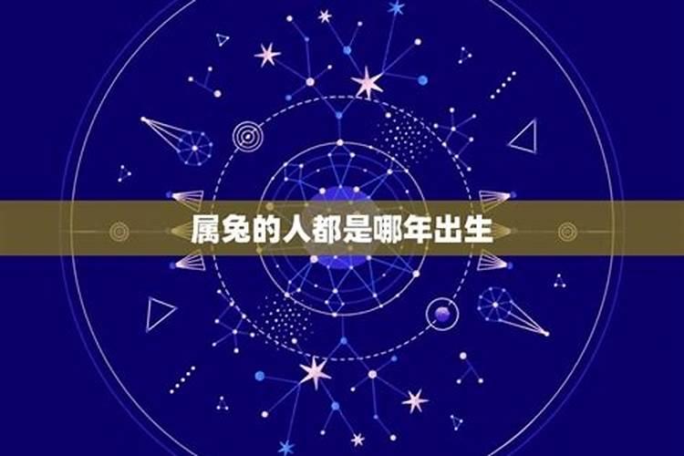 属兔的人分别是哪些年份的