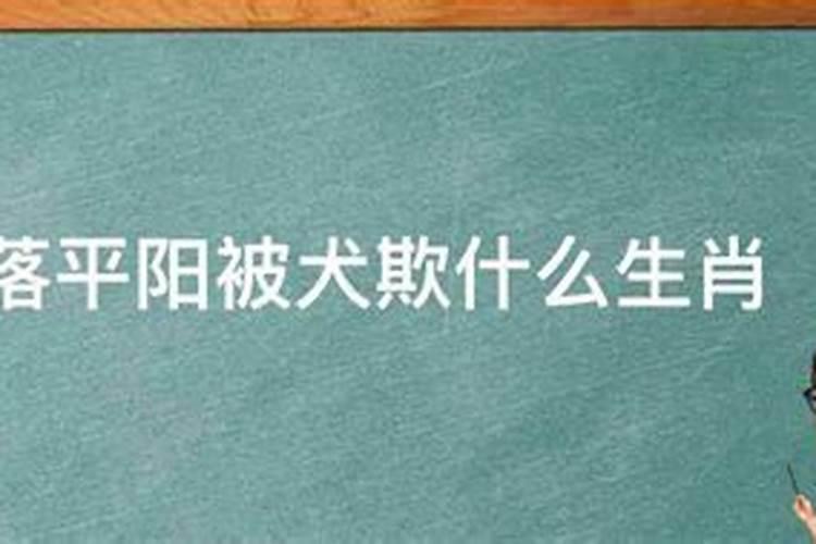 平阳犬戏虎蛇前笨死猪猜一生肖