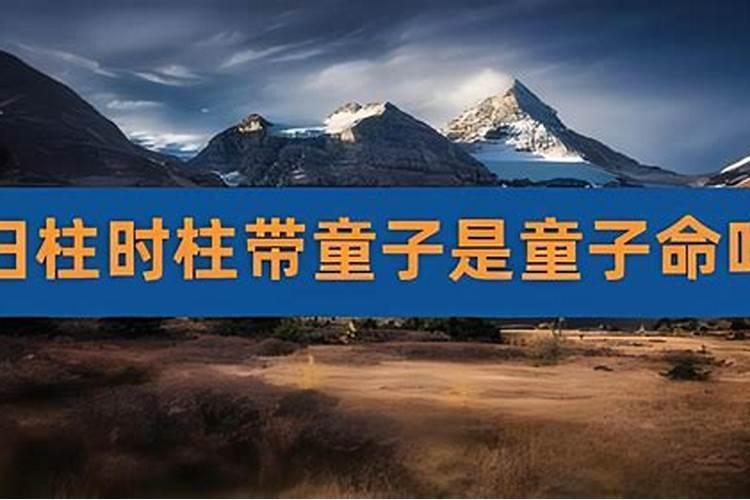 属龙人出生12个月12种不同命