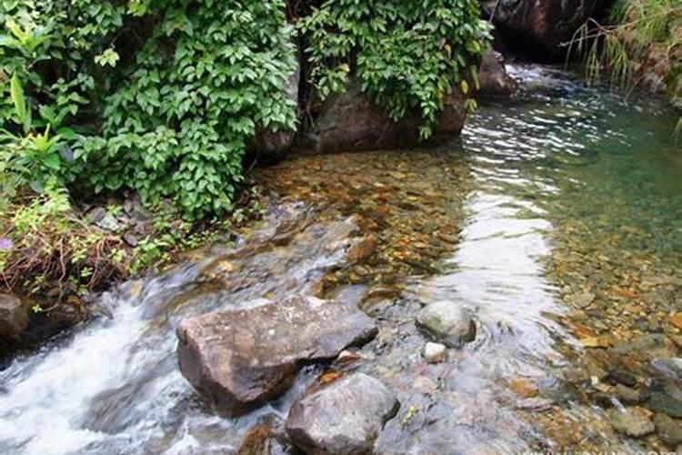 梦到水渠里的水在流动解梦