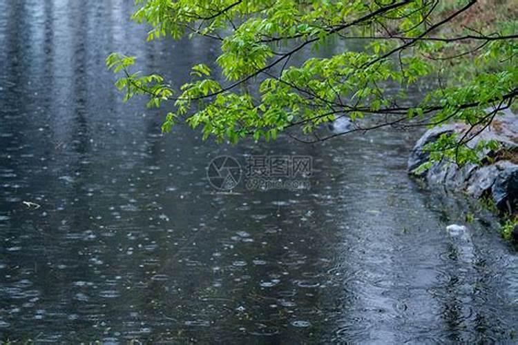 清明时节雨纷纷的意思是啥？什么生肖与清明节有关联