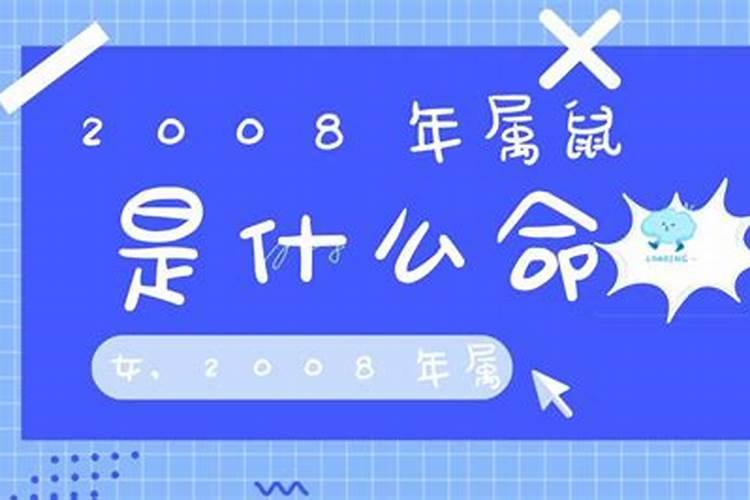 2008年属鼠是火命还是土命？