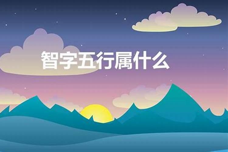 智这个字五行属什么