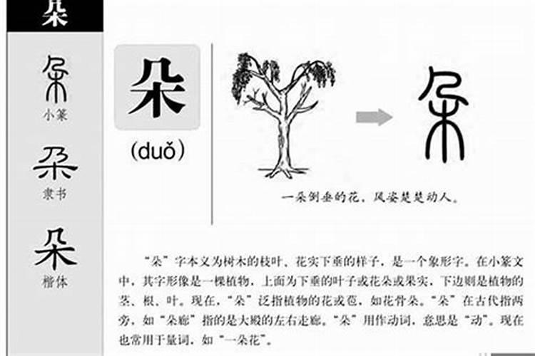 智这个字五行属什么