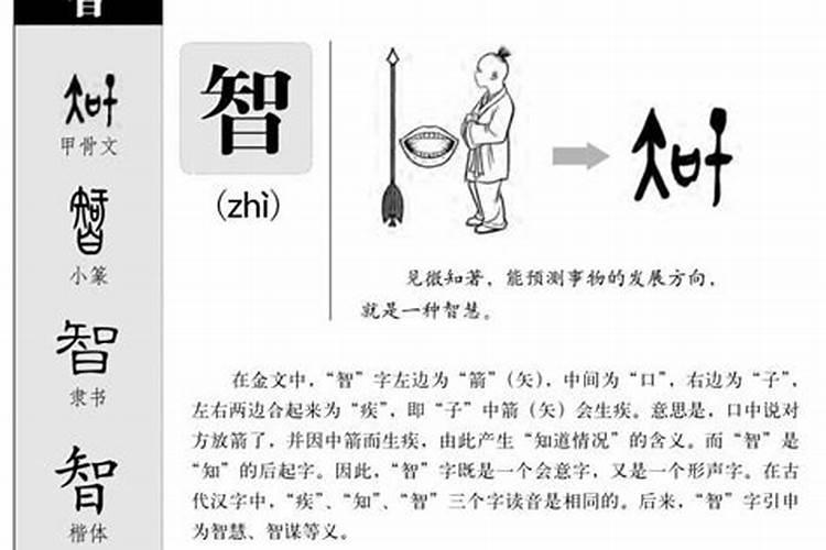 智字的含义及五行属什么