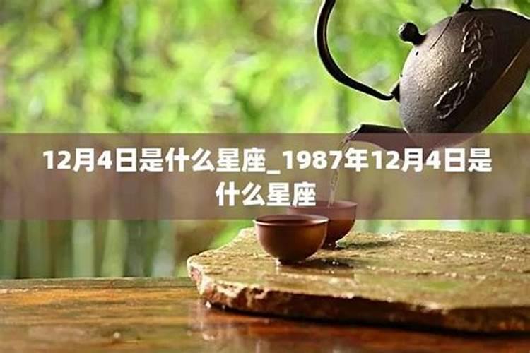 阳历12月4日是什么座