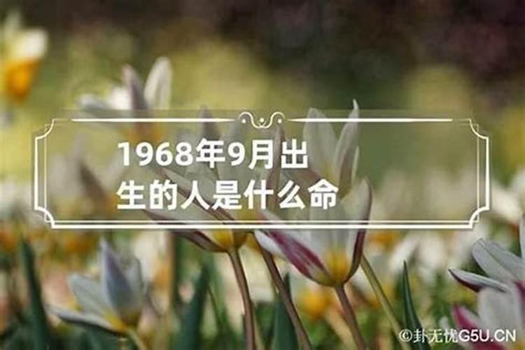 1968是什么命属什么命