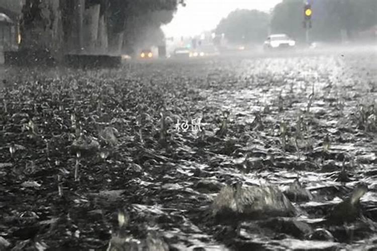 怀孕梦见下大雨生男生女