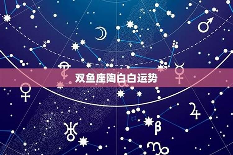 十二星座陶白白